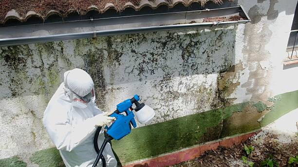 Top rated local Attic Mold Removal specialists in Warren, OR